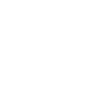 2009