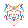Raccoon Moon Phases