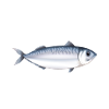 Seafood Lover Gift