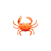 Seafood Lover Gift