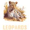 Leoparden Leopard