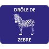 Strange zebra