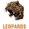Leoparden Leopard