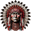 American Indian American Red Skin