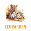 Leoparden Leopard