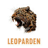 Leoparden Leopard