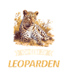 Leoparden Leopard