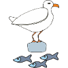möve mit fischen