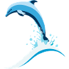 Jumping Dolphin