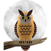 Hibou Lunaire