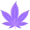Cannabisblatt