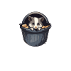 Opossum Possum Vintage Possumm Oppossum