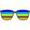Retro Sunglases