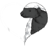 Heart Cute Honey Badger