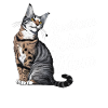 Katze American Bobtail Geschenk
