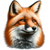 Trippy Polka Dot Fox