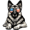Patriotic Pup with Flag Sunglasses
