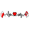 Cardio heart Flag Poland, Greater Poland