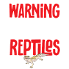 Leopard Gecko Reptile Pet Gecko