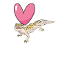 Leopardgecko Reptil Haustier Gecko