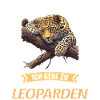 Leoparden Leopard