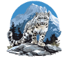 Snow Leopard Schneeleoparden Schneeleopard