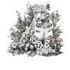 Snow Leopard Schneeleoparden Schneeleopard