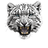 Snow Leopard Schneeleoparden Schneeleopard