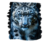 Snow Leopard Schneeleoparden Schneeleopard