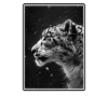 Snow Leopard Schneeleoparden Schneeleopard