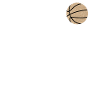 Joueurs de basket-ball Basketteurs Basket-ball