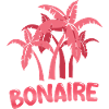Cadeau pour Bonaire