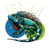 Iguana
