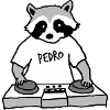 Raton laveur Pedro DJ