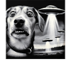 Chokerede hunde og UFO'er - Sci-Fi Surprise Design