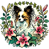 Papillon-Hund