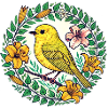 Yellow Finch