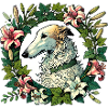 Borzoi