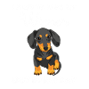 Dachshund Viennese