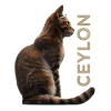 Ceylon