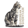 European shorthair