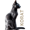 Korat