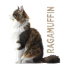 Ragamuffin