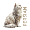 Persian