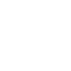 Slovenia Football Fan