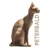 Peterbald