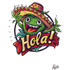 Happy plant with sombrero: ¡Hola!