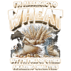 Wheat allergy