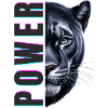 Black_Panther_Power