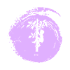 Klettern Kletterer